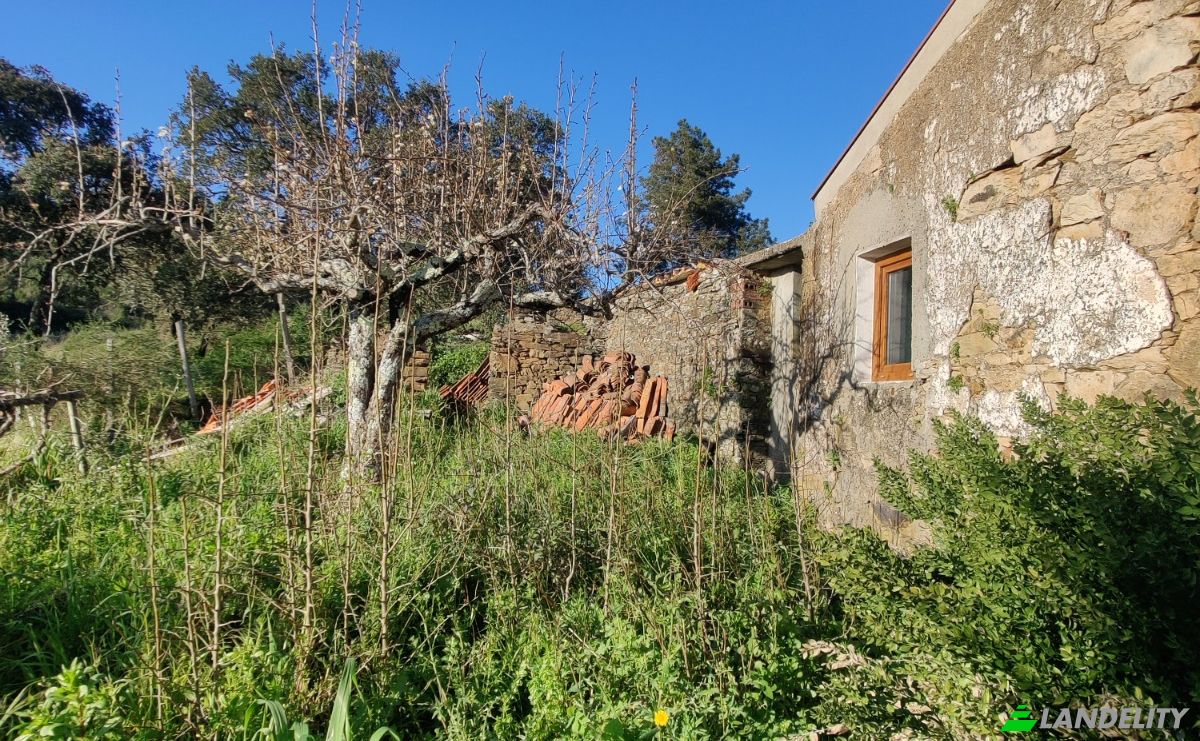 Maison unifamiliale à vendre Travessa das Flores 4, 6150-339 Labrunhal Cimeiro, Proenca-a-Nova, Castelo Branco District, Portugal. Photo 1