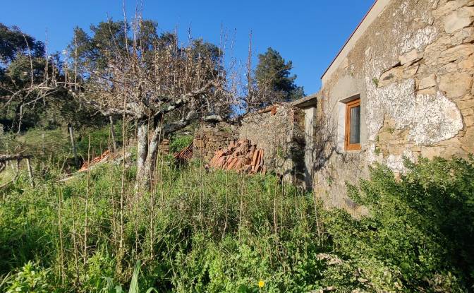 Single Family Home for Sale - Proenca-a-Nova, Portugal
