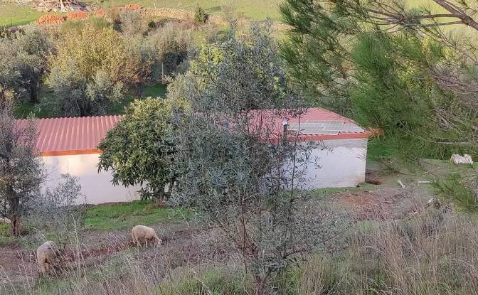 Single Family Home for Sale R Nova da Escola. Photo#11