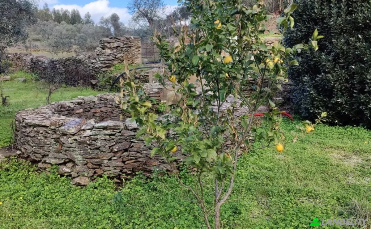 Single Family Home for Sale R Nova da Escola, 6005 Mata, Mata, Castelo Branco, Castelo Branco District, Portugal. Photo 16