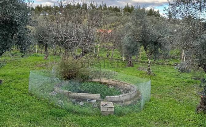 Single Family Home for Sale R Nova da Escola. Photo#6