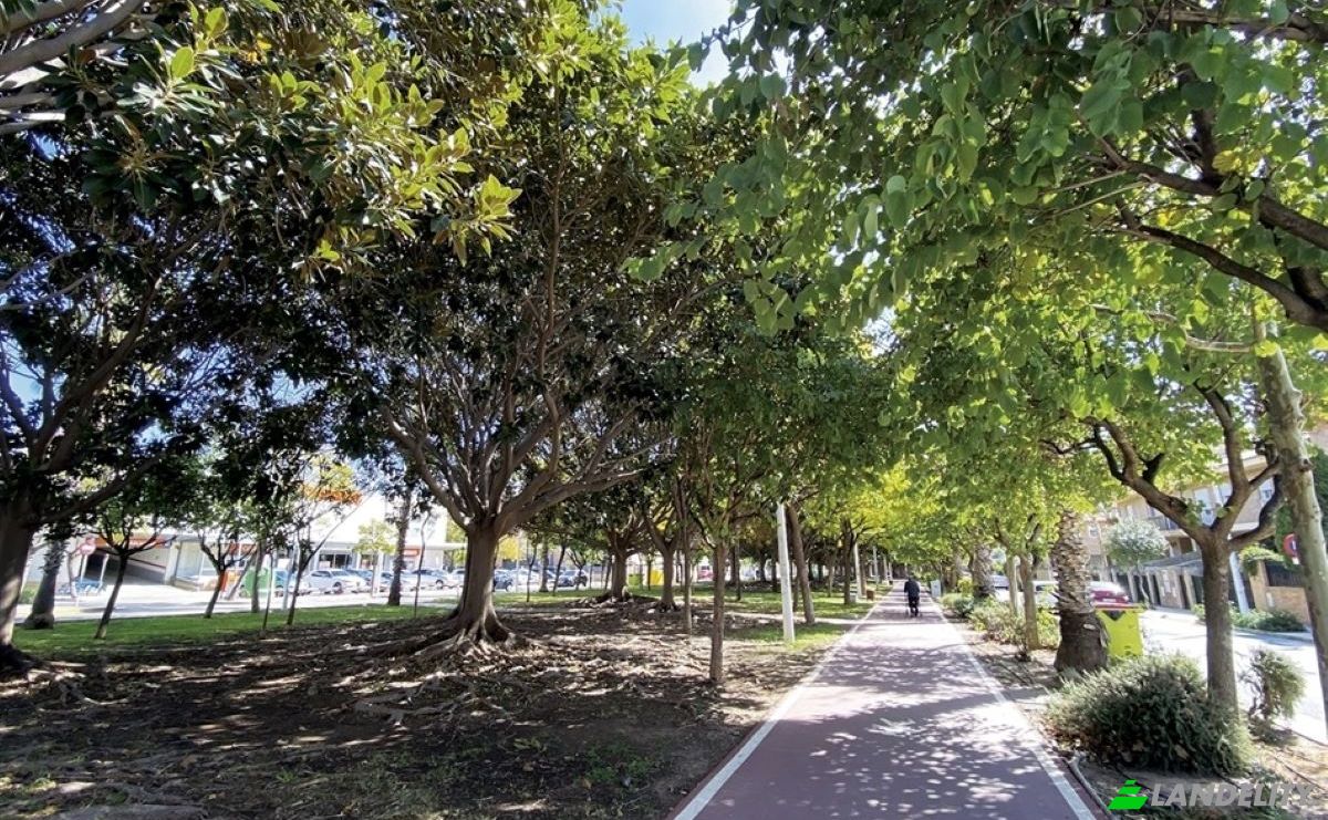 Land Lot for Sale Avinguda Sanchis Guarner, Picanya, Valencia, Valencian Community, Spain. Photo 2