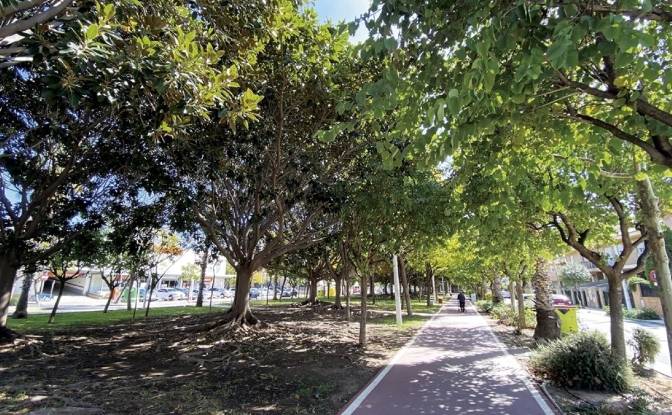 Land Lot for Sale Avinguda Sanchis Guarner. Photo#2 Land Lot for Sale Avinguda Sanchis Guarner. Photo#2