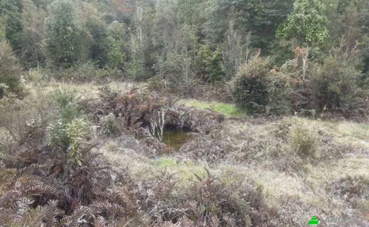 Land Lot for Sale Parcelacion Crucero Austral 10, Puerto Varas, Arrayan, Llanquihue Province, Los Lagos, Chile. Photo 2