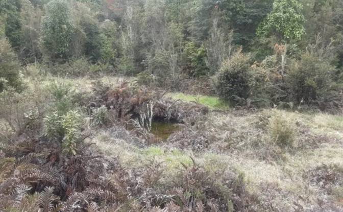 Land Lot for Sale Parcelacion Crucero Austral 10. Photo#2
