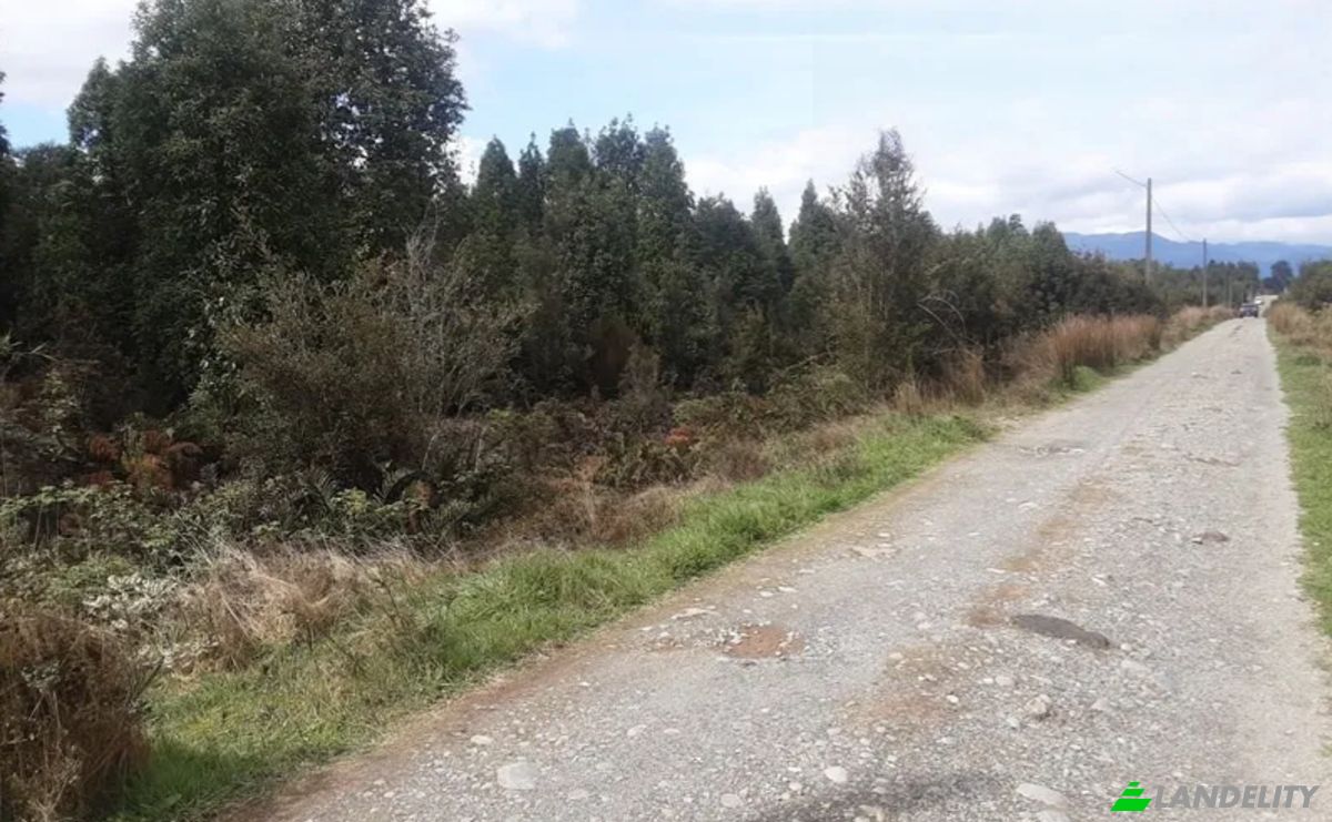 Land Lot for Sale Parcelacion Crucero Austral 10, Puerto Varas, Arrayan, Llanquihue Province, Los Lagos, Chile. Photo 4