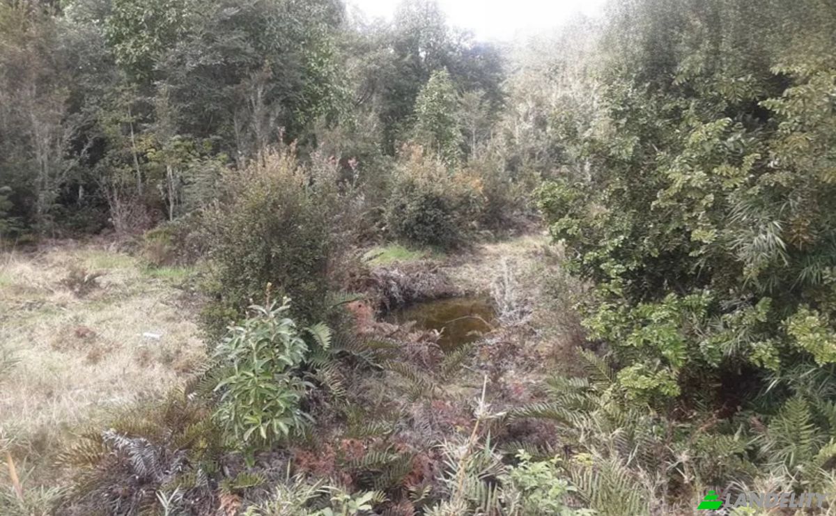 Land Lot for Sale Parcelacion Crucero Austral 10, Puerto Varas, Arrayan, Llanquihue Province, Los Lagos, Chile. Photo 5