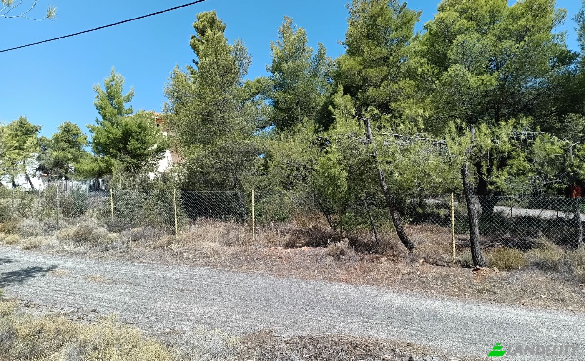 Land Lot for Sale 340 08, Eretria, Central Greece, Decentralized Administration of Thessaly and Central Greece, Greece. Photo 4
