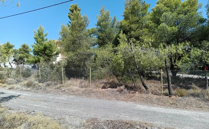 Land Lot for Sale 340 08, Eretria, Central Greece. Photo#4 Land Lot for Sale 340 08, Eretria, Central Greece. Photo#4