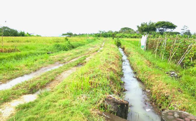 Land Lot for Sale Jalan Tanpa Nama, Sudimara. Photo#17 Land Lot for Sale Jalan Tanpa Nama, Sudimara. Photo#17