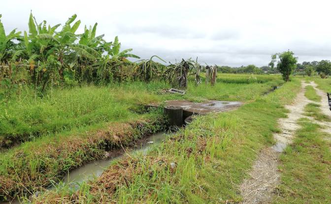 Land Lot for Sale Jalan Tanpa Nama, Sudimara. Photo#18 Land Lot for Sale Jalan Tanpa Nama, Sudimara. Photo#18