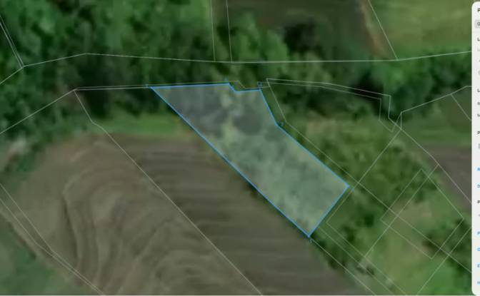Land Lot for Sale Jalan Tanpa Nama, Sudimara. Photo#19 Land Lot for Sale Jalan Tanpa Nama, Sudimara. Photo#19