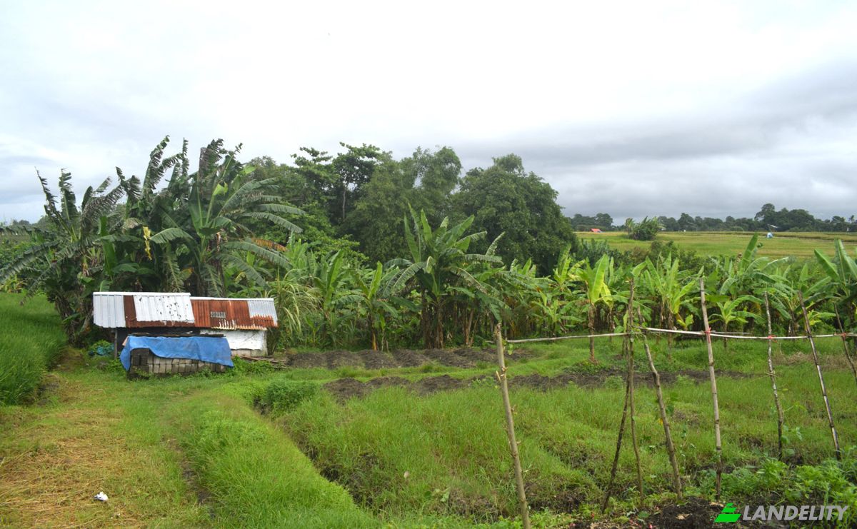 Land Lot for Sale Jalan Tanpa Nama, Sudimara, Tabanan Regency, Bali, Indonesia, Kec Tabanan, Kabupaten Tabanan. Photo 2