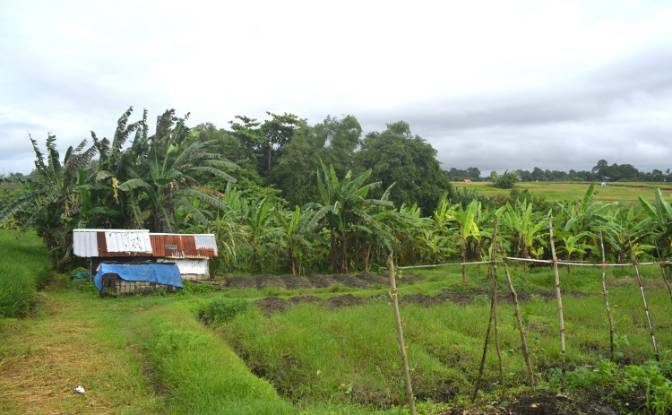 Land Lot for Sale Jalan Tanpa Nama, Sudimara. Photo#2 Land Lot for Sale Jalan Tanpa Nama, Sudimara. Photo#2
