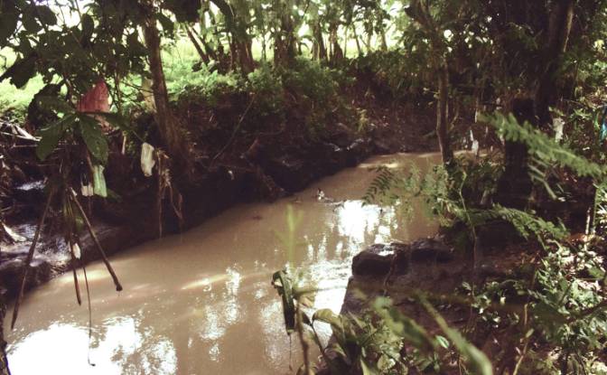 Land Lot for Sale Jalan Tanpa Nama, Sudimara. Photo#9 Land Lot for Sale Jalan Tanpa Nama, Sudimara. Photo#9