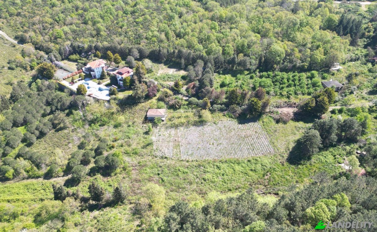 Mansão à venda Poyrazkoy Mh, Balci Sk No:5, 34829 Beykoz Istanbul, Beykoz Istanbul, Beykoz, Istanbul, Turkiye. foto 12