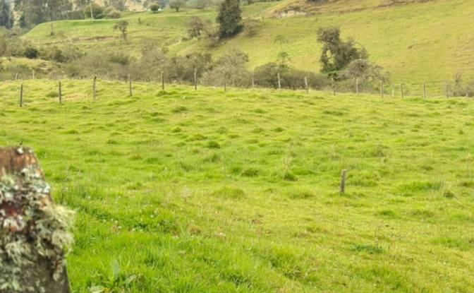 Land Lot for Sale Via Sin Nombre, La Calera. Photo#5
