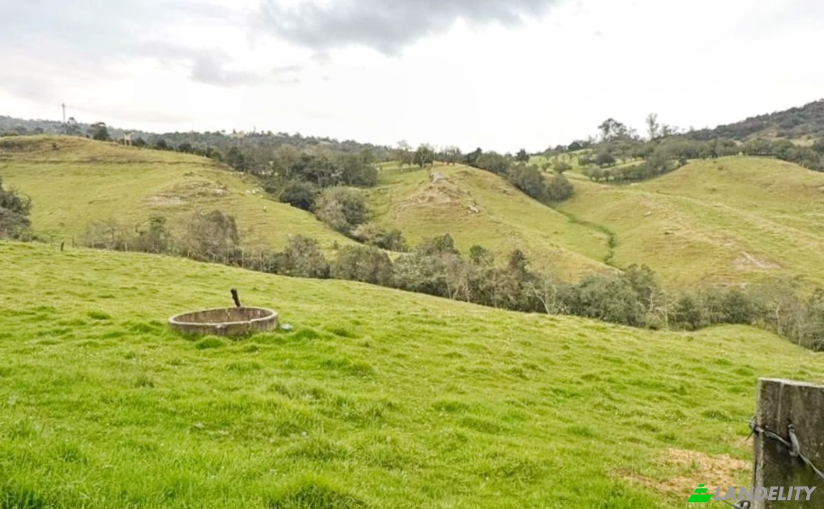 Land Lot for Sale Via Sin Nombre, La Calera, Cundinamarca, Colombia. Photo 6