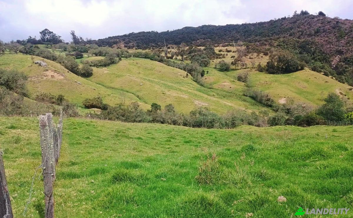 Land Lot for Sale Via Sin Nombre, La Calera, Cundinamarca, Colombia. Photo 7