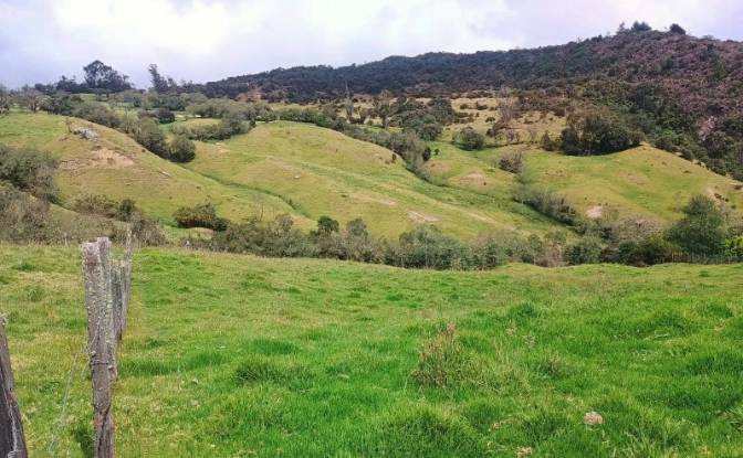 Land Lot for Sale Via Sin Nombre, La Calera. Photo#7