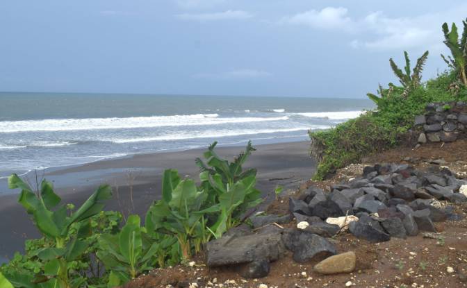 Land Lot for Sale Jalan Tanpa Nama, Sudimara. Photo#10 Land Lot for Sale Jalan Tanpa Nama, Sudimara. Photo#10