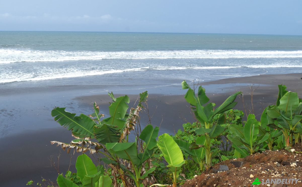 Land Lot for Sale Jalan Tanpa Nama, Sudimara, Tabanan Regency, Bali, Indonesia, Kec Tabanan, Kabupaten Tabanan. Photo 11