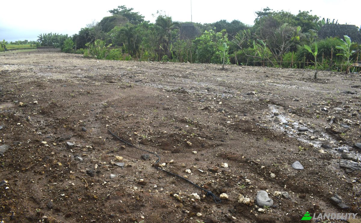 Land Lot for Sale Jalan Tanpa Nama, Sudimara, Tabanan Regency, Bali, Indonesia, Kec Tabanan, Kabupaten Tabanan. Photo 12