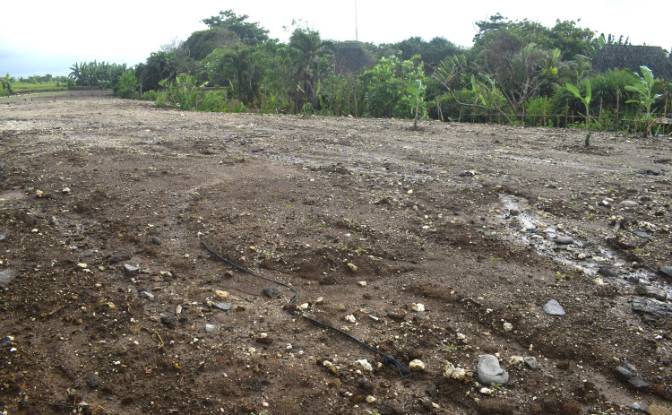 Land Lot for Sale Jalan Tanpa Nama, Sudimara. Photo#12 Land Lot for Sale Jalan Tanpa Nama, Sudimara. Photo#12