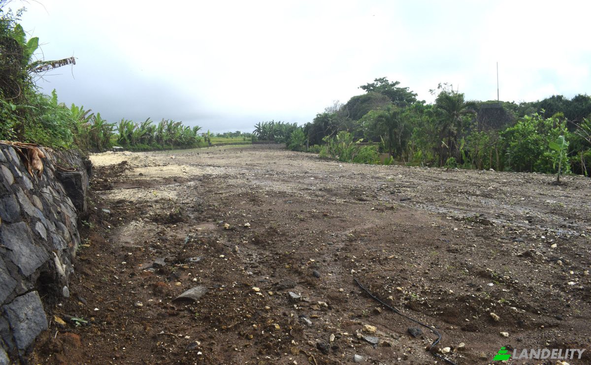 Land Lot for Sale Jalan Tanpa Nama, Sudimara, Tabanan Regency, Bali, Indonesia, Kec Tabanan, Kabupaten Tabanan. Photo 13