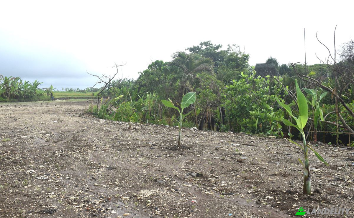 Land Lot for Sale Jalan Tanpa Nama, Sudimara, Tabanan Regency, Bali, Indonesia, Kec Tabanan, Kabupaten Tabanan. Photo 15