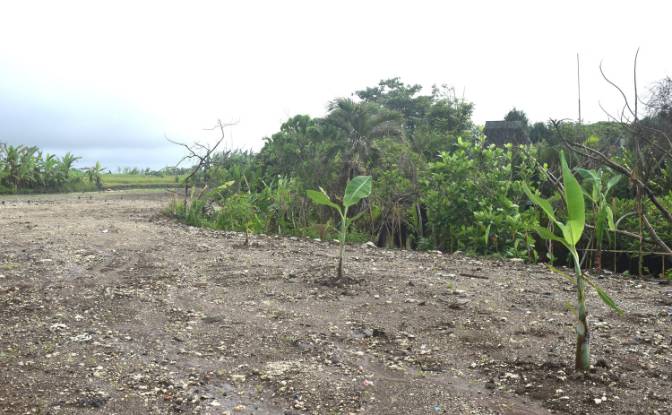 Land Lot for Sale Jalan Tanpa Nama, Sudimara. Photo#15 Land Lot for Sale Jalan Tanpa Nama, Sudimara. Photo#15