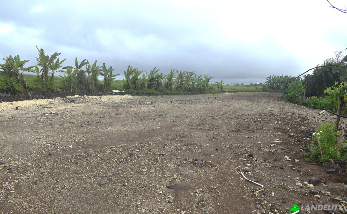 Land Lot for Sale Jalan Tanpa Nama, Sudimara, Tabanan Regency, Bali, Indonesia, Kec Tabanan, Kabupaten Tabanan. Photo 16