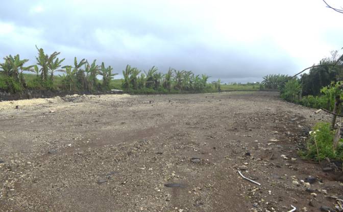 Land Lot for Sale Jalan Tanpa Nama, Sudimara. Photo#16 Land Lot for Sale Jalan Tanpa Nama, Sudimara. Photo#16