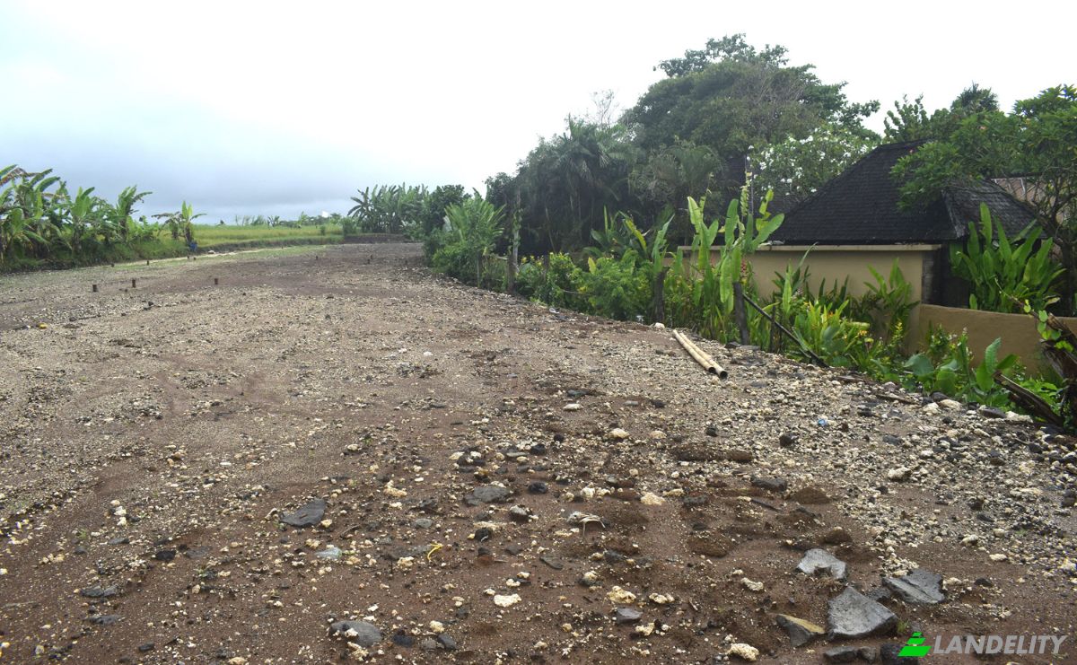 Land Lot for Sale Jalan Tanpa Nama, Sudimara, Tabanan Regency, Bali, Indonesia, Kec Tabanan, Kabupaten Tabanan. Photo 19