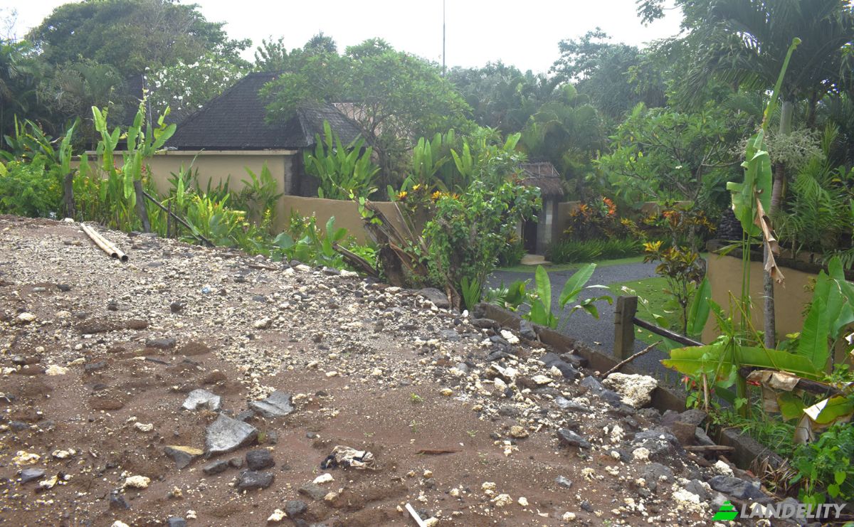 Land Lot for Sale Jalan Tanpa Nama, Sudimara, Tabanan Regency, Bali, Indonesia, Kec Tabanan, Kabupaten Tabanan. Photo 20