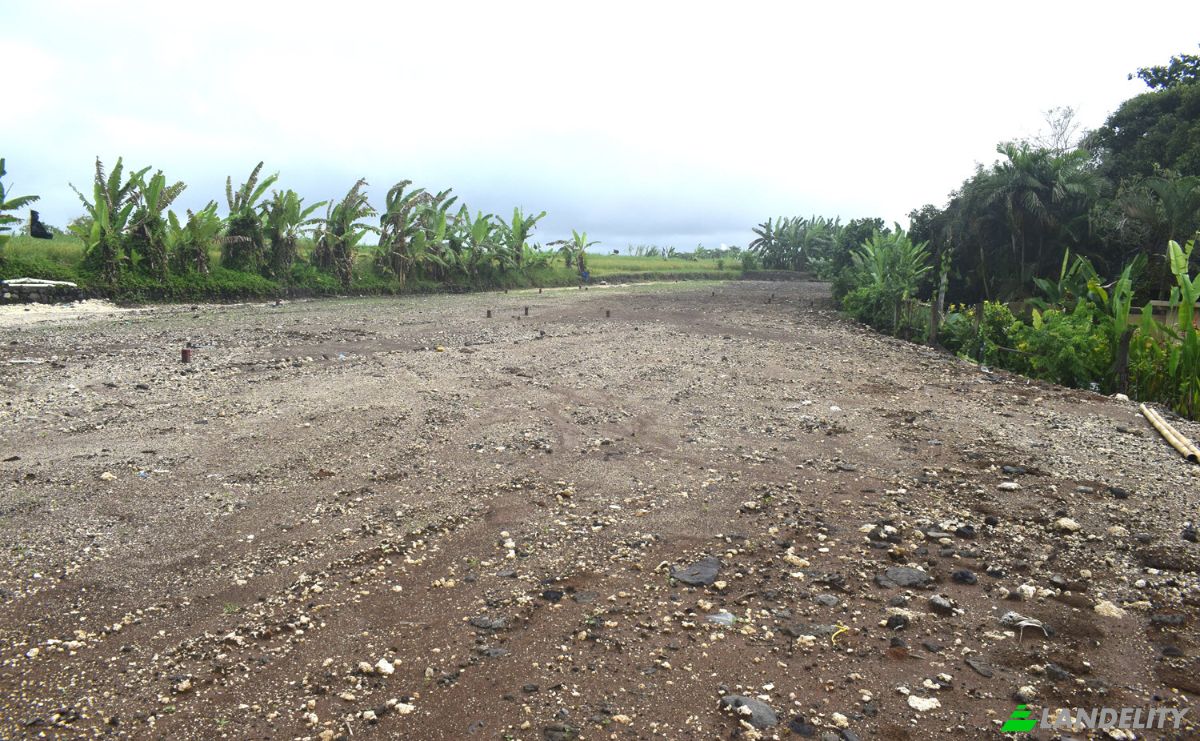 Land Lot for Sale Jalan Tanpa Nama, Sudimara, Tabanan Regency, Bali, Indonesia, Kec Tabanan, Kabupaten Tabanan. Photo 21