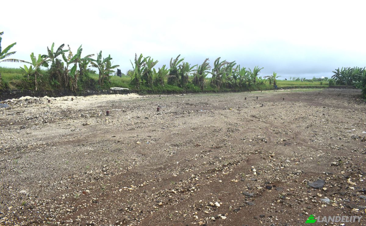 Land Lot for Sale Jalan Tanpa Nama, Sudimara, Tabanan Regency, Bali, Indonesia, Kec Tabanan, Kabupaten Tabanan. Photo 22