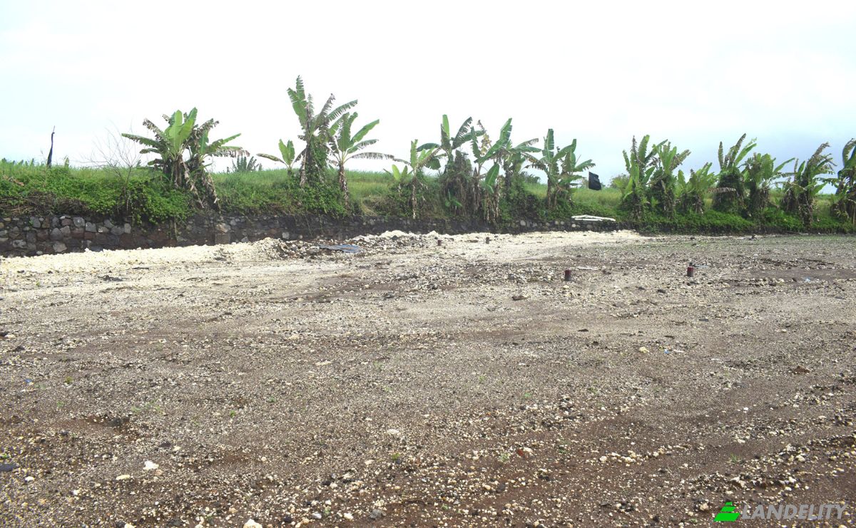 Land Lot for Sale Jalan Tanpa Nama, Sudimara, Tabanan Regency, Bali, Indonesia, Kec Tabanan, Kabupaten Tabanan. Photo 23