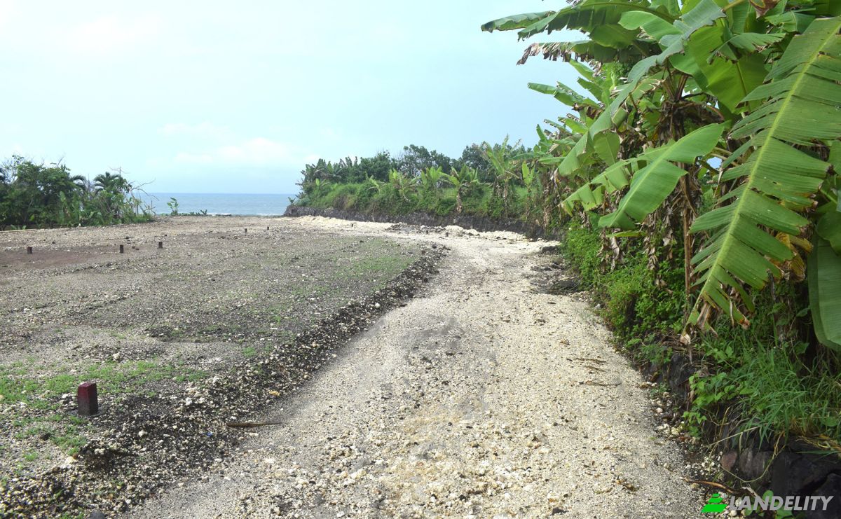 Land Lot for Sale Jalan Tanpa Nama, Sudimara, Tabanan Regency, Bali, Indonesia, Kec Tabanan, Kabupaten Tabanan. Photo 3