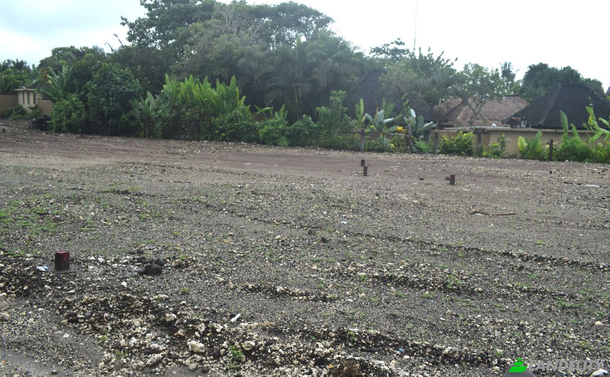 Land Lot for Sale Jalan Tanpa Nama, Sudimara, Tabanan Regency, Bali, Indonesia, Kec Tabanan, Kabupaten Tabanan. Photo 4