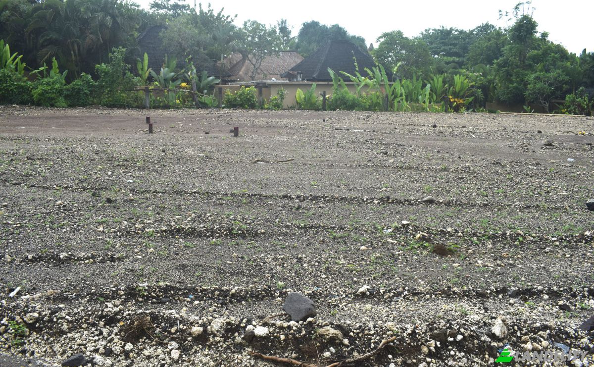 Land Lot for Sale Jalan Tanpa Nama, Sudimara, Tabanan Regency, Bali, Indonesia, Kec Tabanan, Kabupaten Tabanan. Photo 5