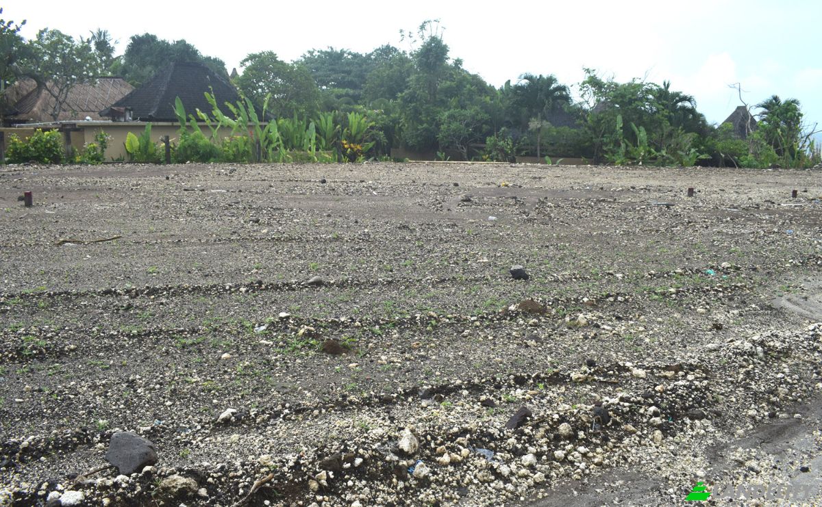 Land Lot for Sale Jalan Tanpa Nama, Sudimara, Tabanan Regency, Bali, Indonesia, Kec Tabanan, Kabupaten Tabanan. Photo 6