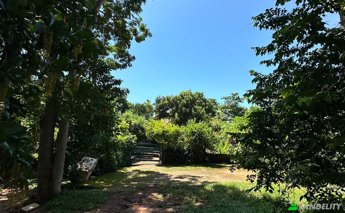 Farm/Ranch for Sale R 5, 37637, Sitios de Recreio Jequimar, Caldas Novas, State of Goias, Brazil, 75687-598. Photo 6