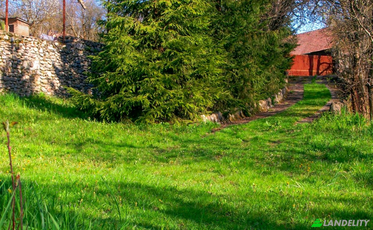 Lote de terreno en venta Str Viilor, Cheia 407406, Cheia, Mihai Viteazu, Cluj County, Romania. Foto 4