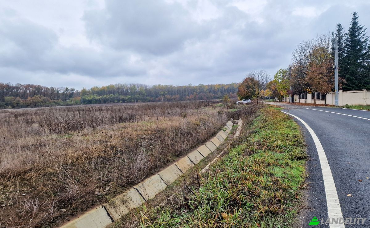 Investing/Development for Sale Str Violetelor 2b, Balotesti 077015, Balotesti, Ilfov County, Romania. Photo 5