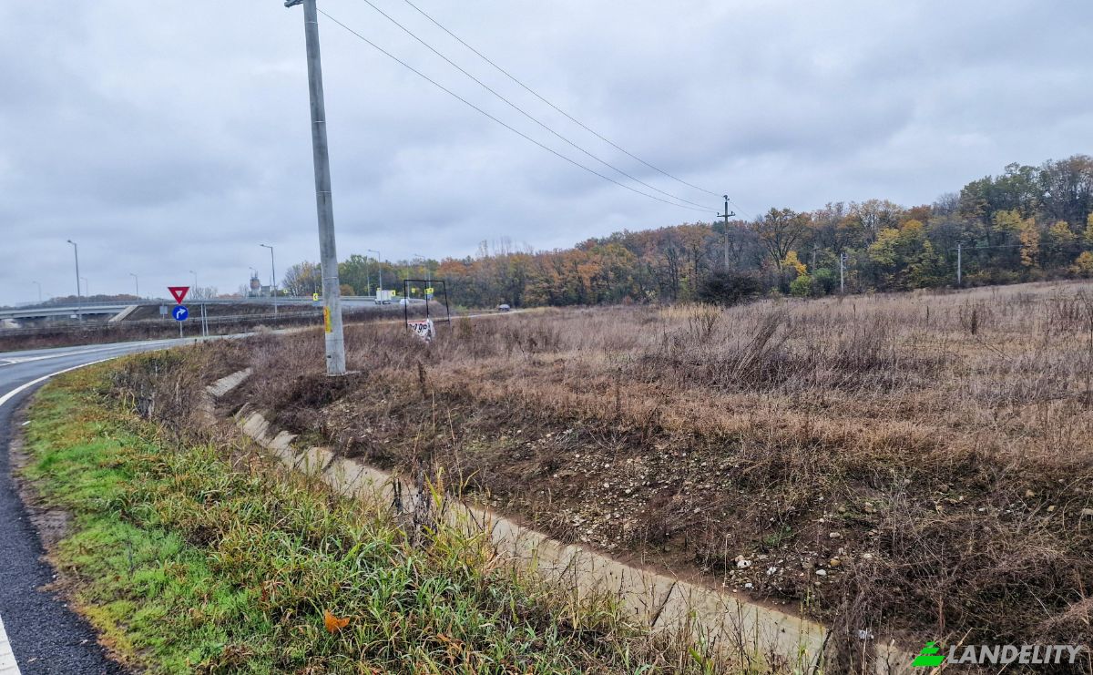 Investing/Development for Sale Str Violetelor 2b, Balotesti 077015, Balotesti, Ilfov County, Romania. Photo 6