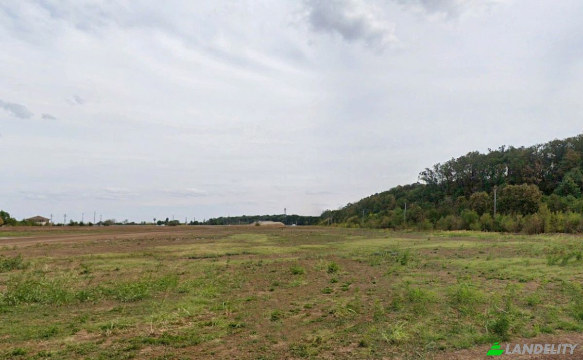 Investing/Development for Sale Str Violetelor 2b, Balotesti 077015, Balotesti, Ilfov County, Romania. Photo 9