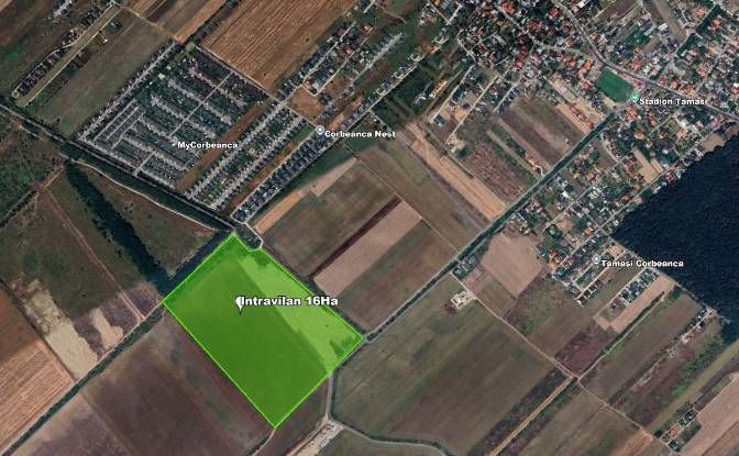 Land Lot for Sale - Tamasi, Romania