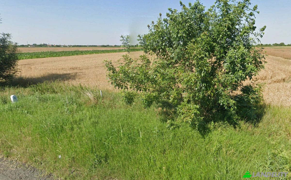 Business for Sale E70, Sag, Timis, Romania. Photo 4