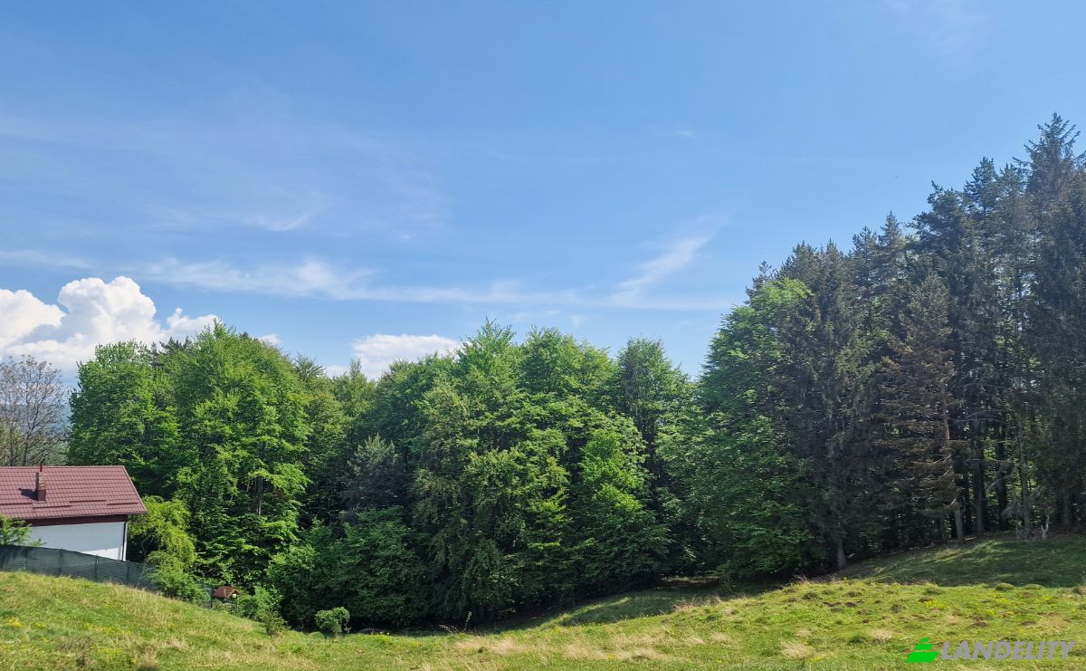 Land Lot for Sale Strada Talii 40, Gura Beliei, Breaza, Prahova, Romania. Photo 5